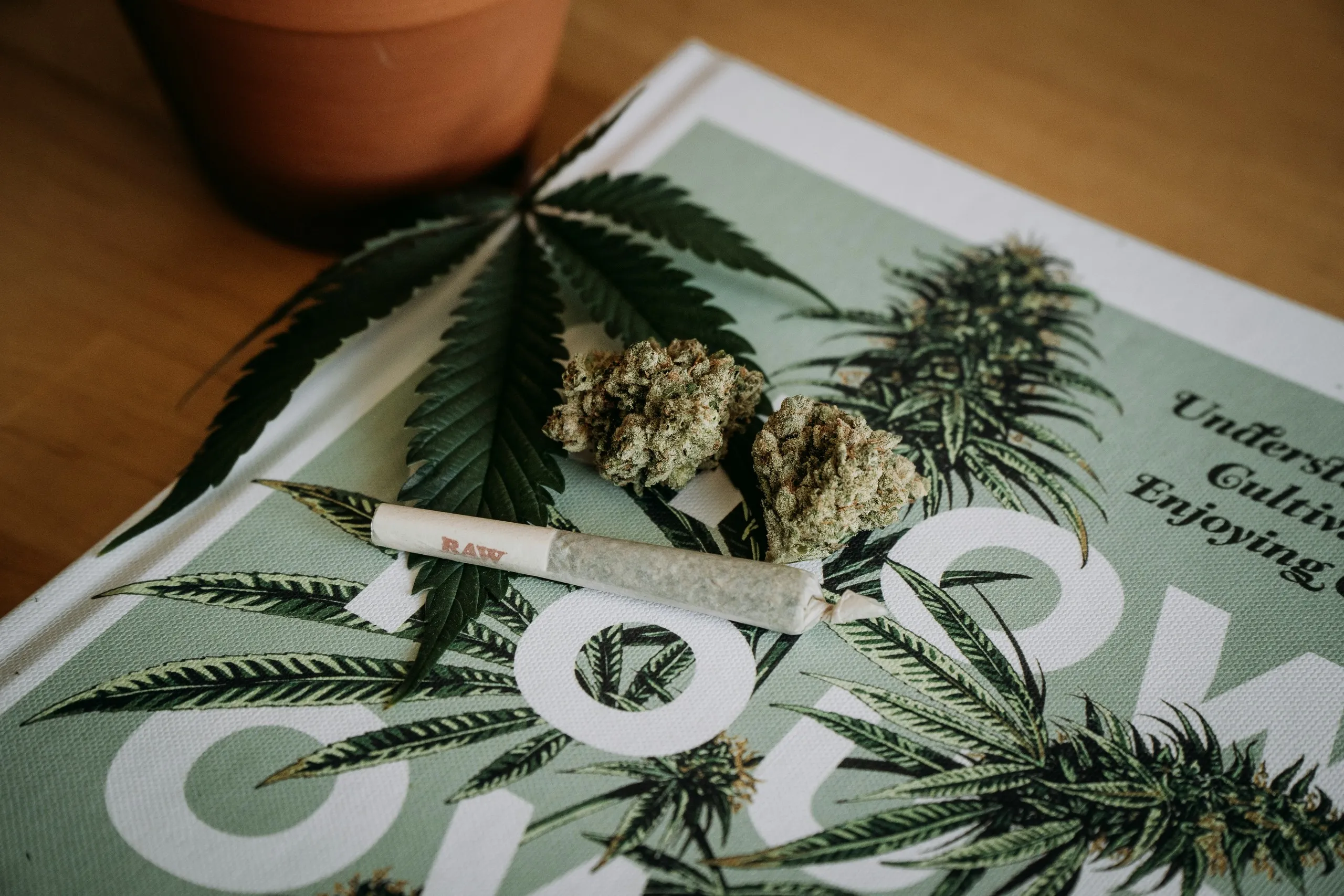 Aufgeschlagenes Magazin mit Cannabisblüten und einem gedrehten Joint auf der Seite